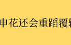 中超8轮后，申花成绩稳定20分，今年与去年对比，结果会否重演？