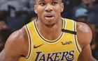字母哥交易热议，湖人或引震动NBA。